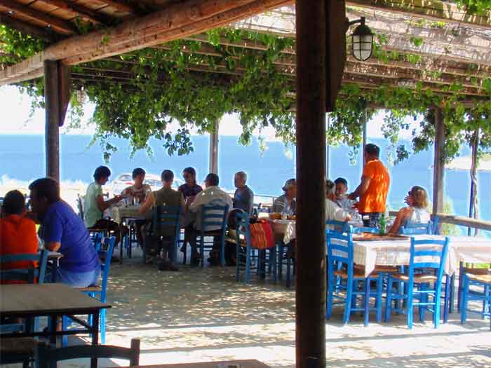 klimakipetriesimg018