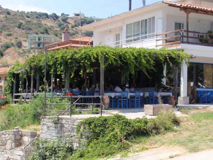 klimakipetriesimg019