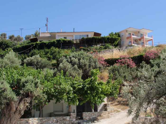 klimakipetriesimg020