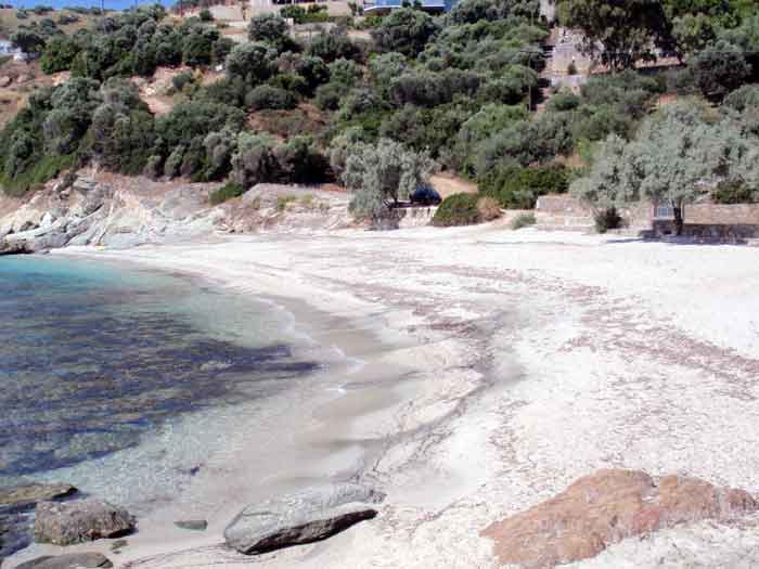 klimakipetriesimg021