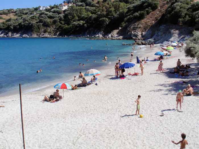 klimakipetriesimg030