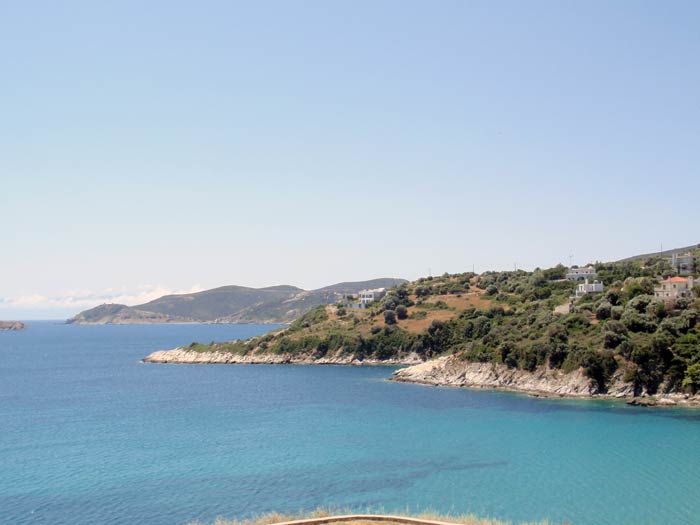 klimakipetriesimg037