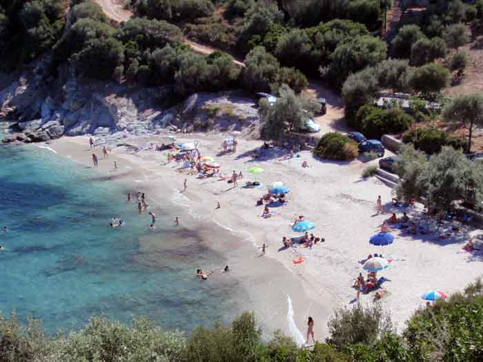 klimakipetriesimg038