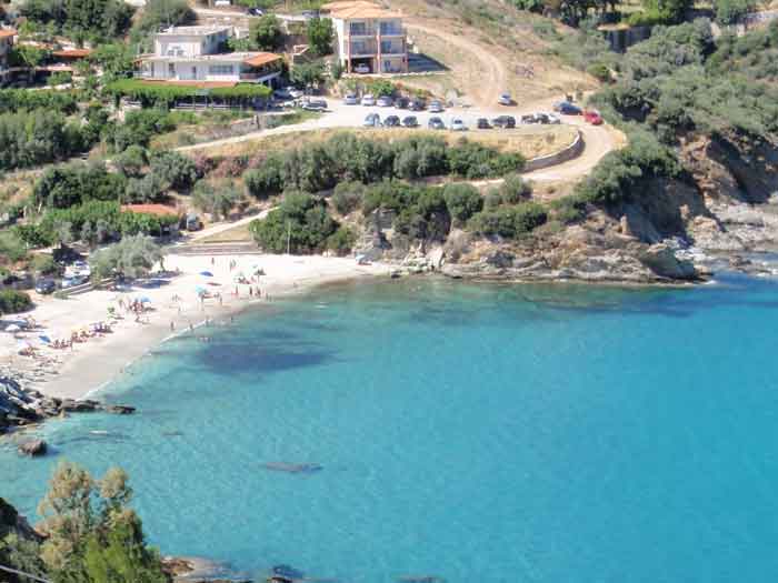 klimakipetriesimg040