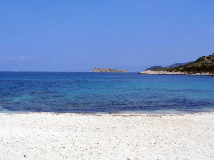 klimakipetriesimg041