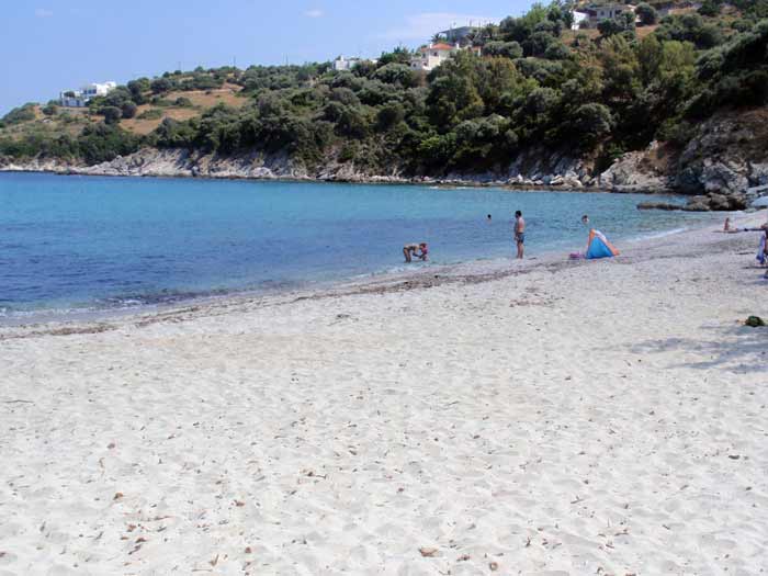 klimakipetriesimg042