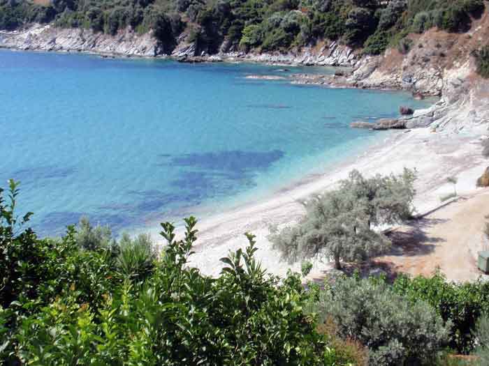 klimakipetriesimg022