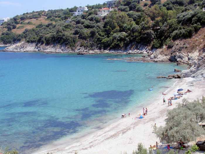 klimakipetriesimg027