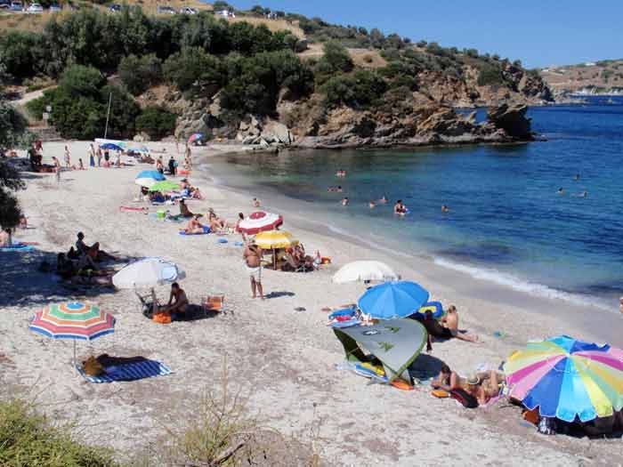 klimakipetriesimg029