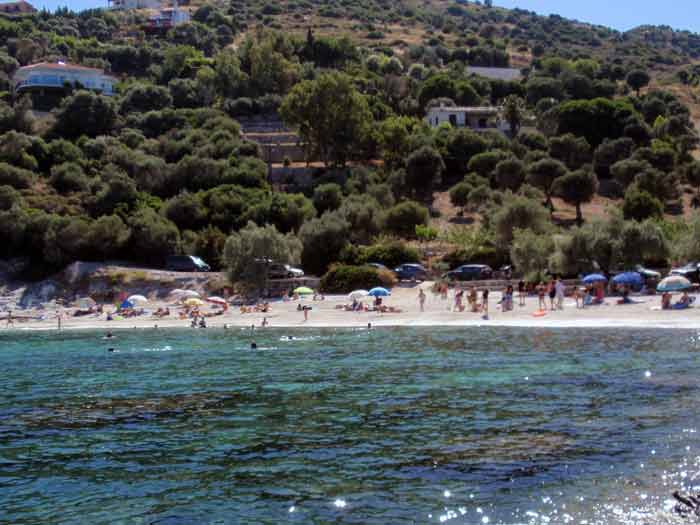 klimakipetriesimg031