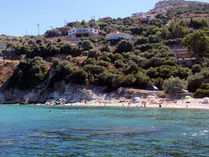 klimakipetriesimg032