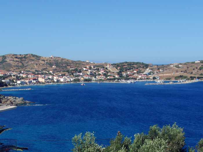 klimakipetriesimg033