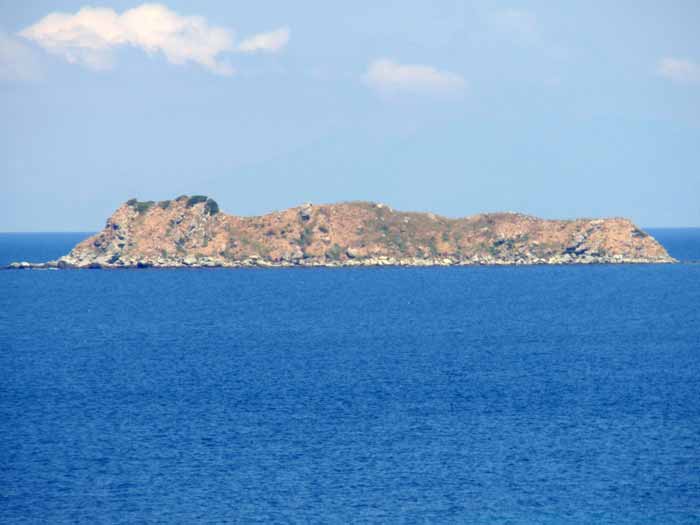 klimakipetriesimg034